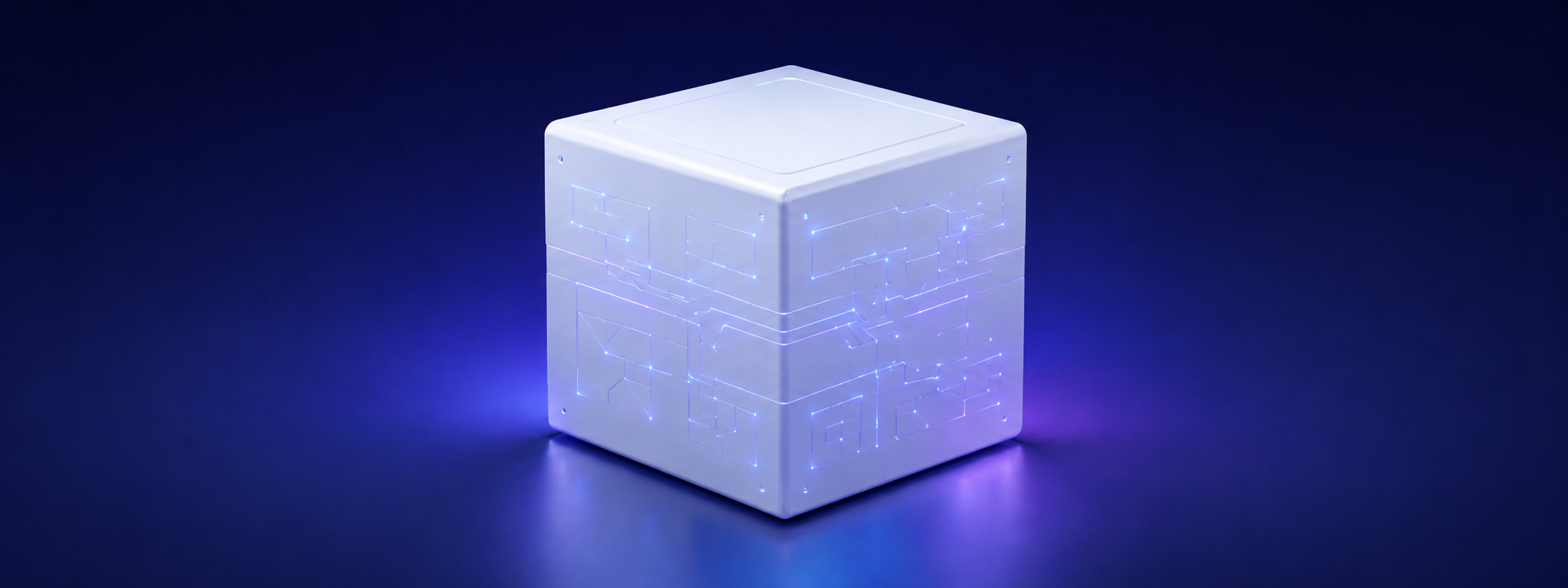 White box testing and internal software behaviour